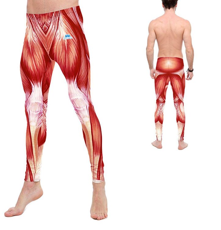 Herren Sport Leggings Muskeln | Dedoles